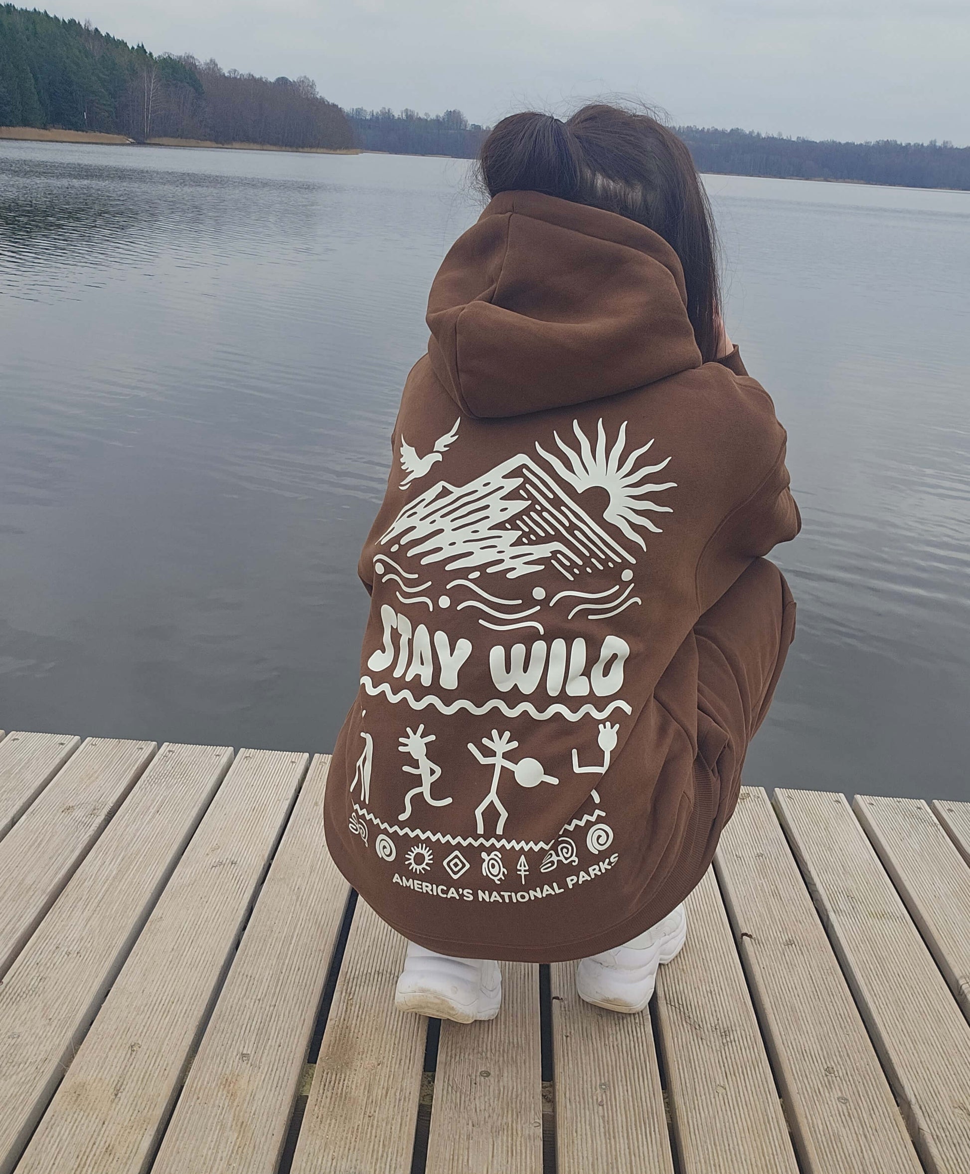 National Parks Petroglyph Unisex Hoodie
